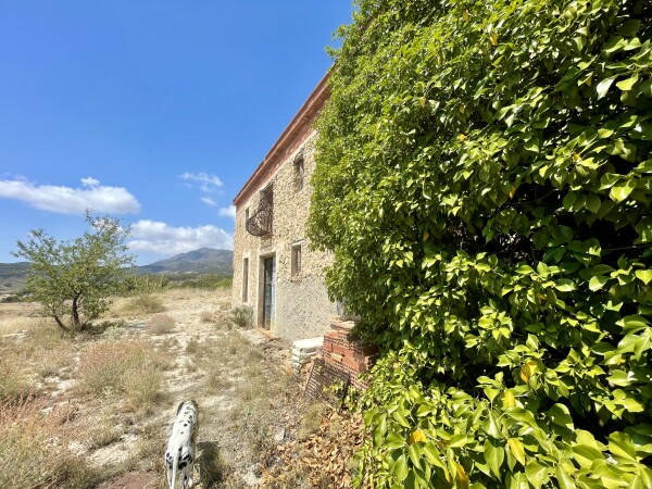 Terreno Con Casa Rústica.